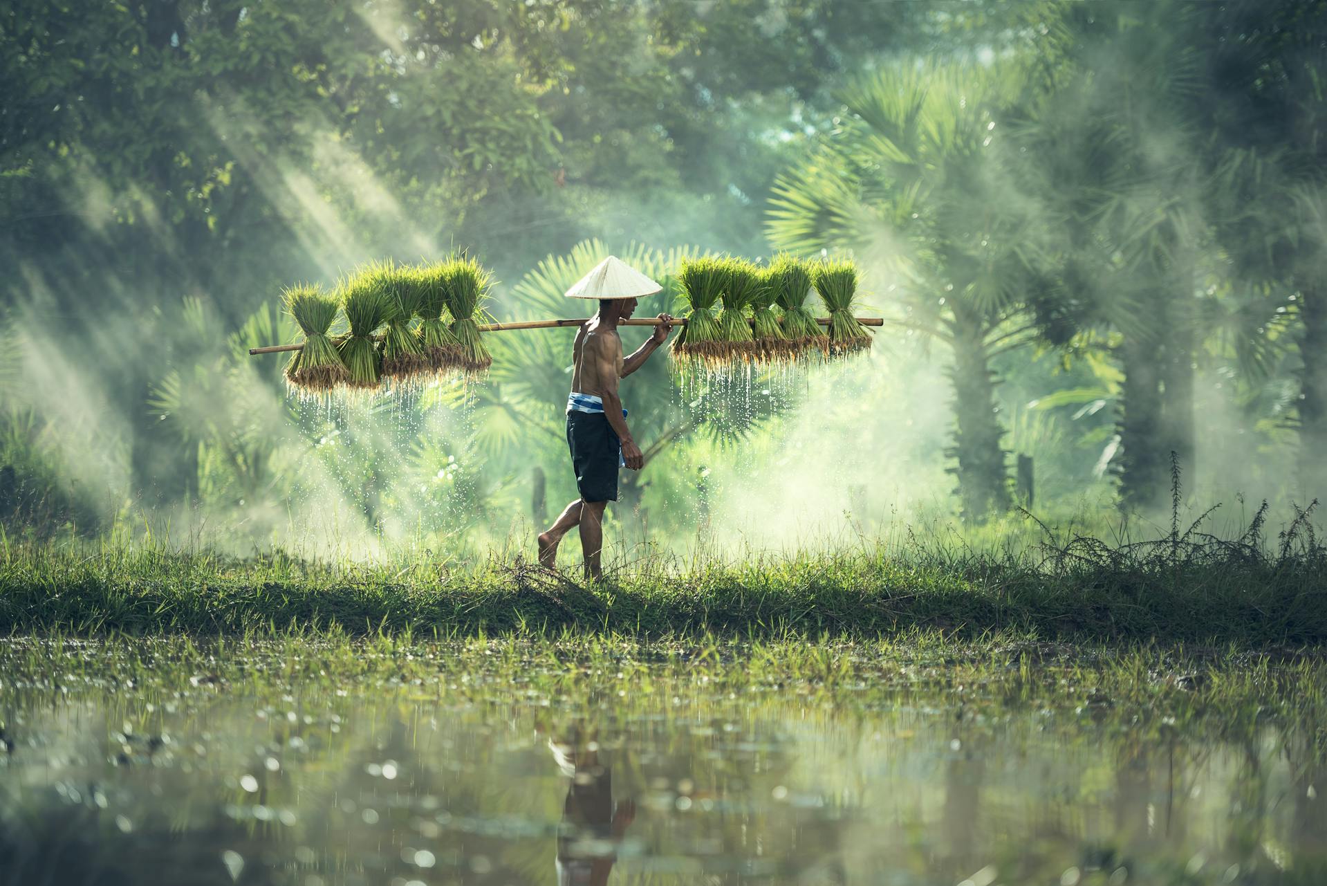 Immerse in Muang Sing’s vibrant Lao heritage